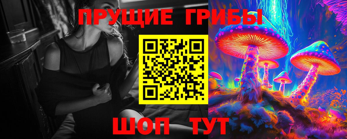 Саранск  Галлюциногенные грибы мухоморы  Вход с VPN 