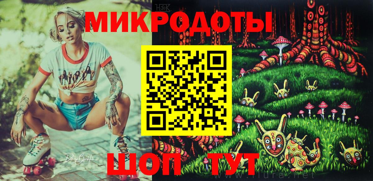 Псилоцибиновые грибы Psilocybe Саранск